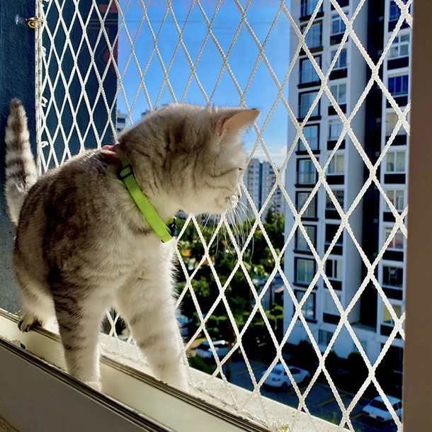 Kedi Güvenlik Filesi